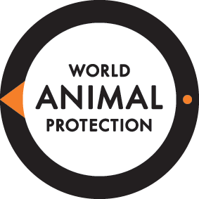 Campaign Manager – Animals in Communities – Thailand